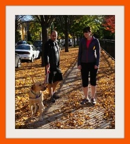 dog walking